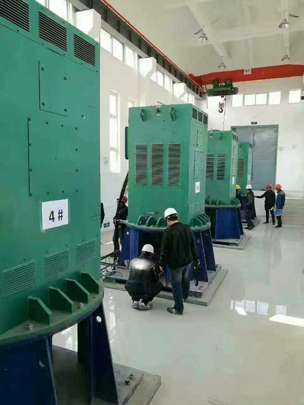 定海某污水处理厂使用我厂的立式高压电机安装现场生产厂家