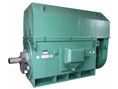 定海Y系列6KV高压电机